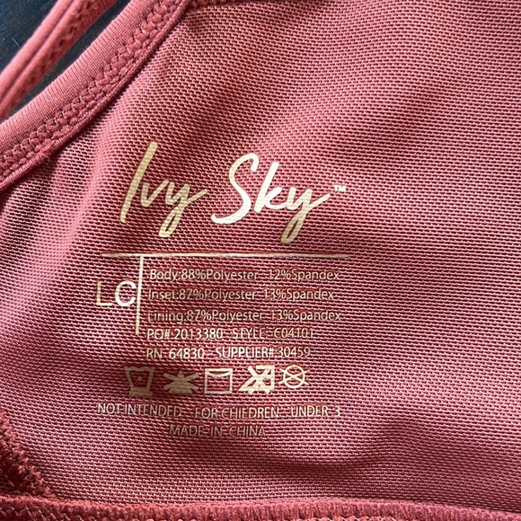 NWOT * Ivy Sky Rust Mesh Bra Top in Size Child Large - Picture 3 of 3